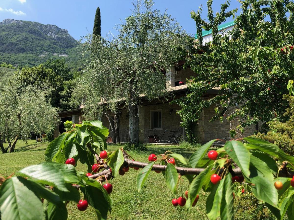 La Cascata Negli Ulivi Acomodação com café da manhã Toscolano Maderno Exterior foto