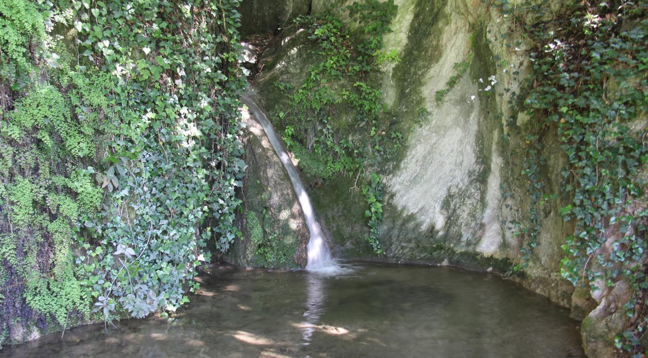 La Cascata Negli Ulivi Acomodação com café da manhã Toscolano Maderno Exterior foto