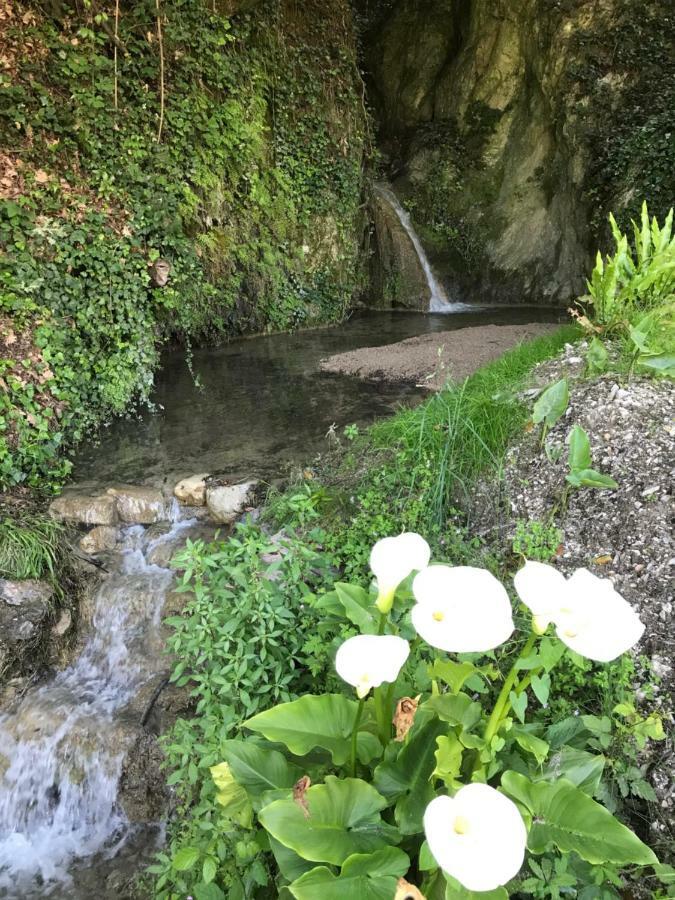 La Cascata Negli Ulivi Acomodação com café da manhã Toscolano Maderno Exterior foto