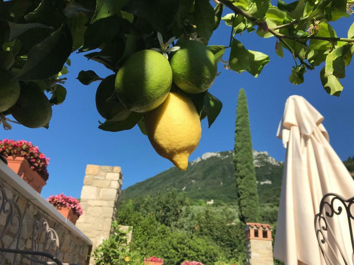 La Cascata Negli Ulivi Acomodação com café da manhã Toscolano Maderno Exterior foto